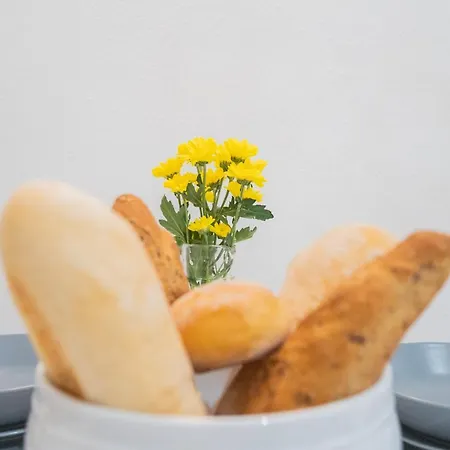 Da Pia In Historycal Centre By Rent Apartament *